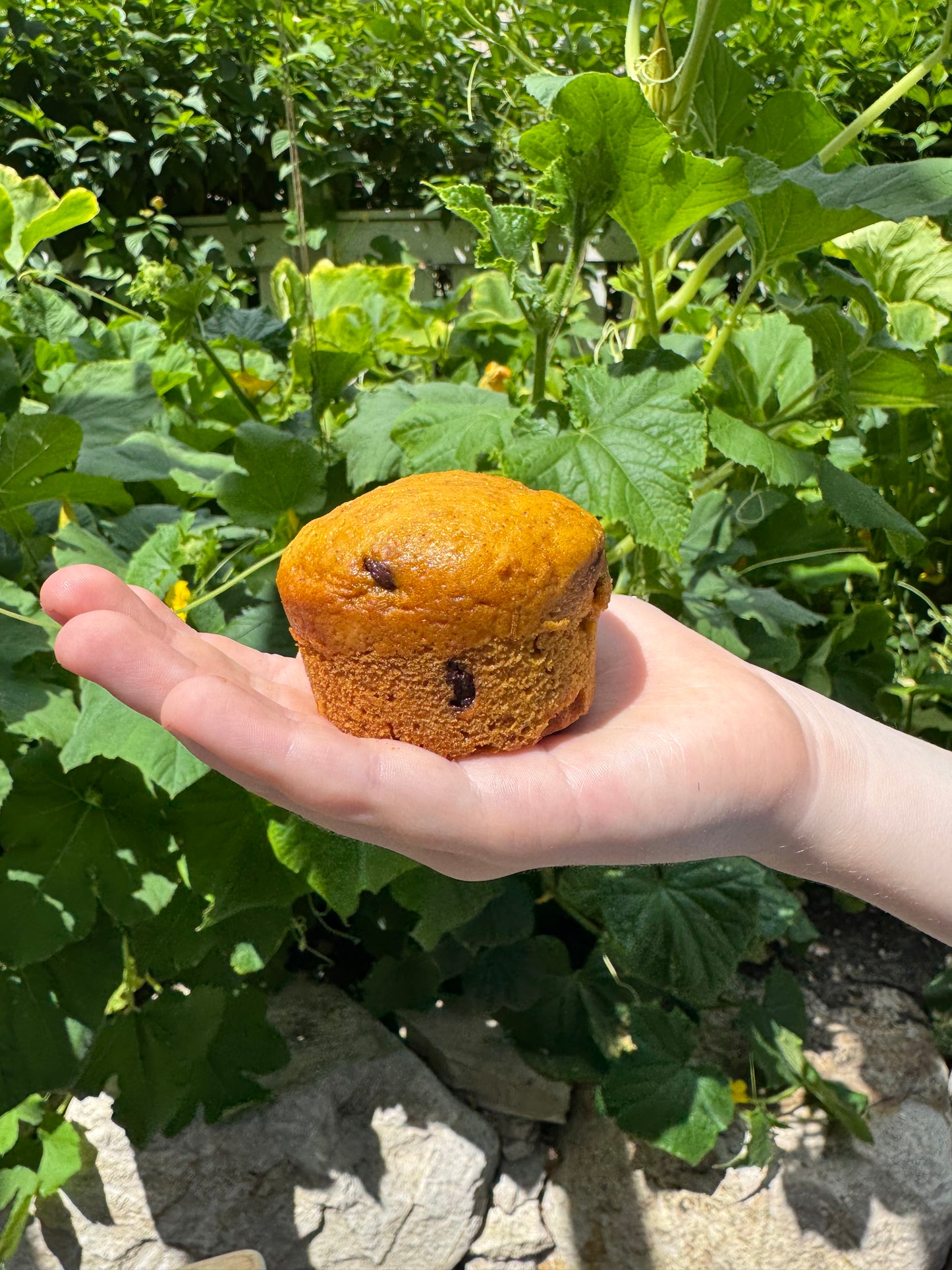 hidden veggie muffins