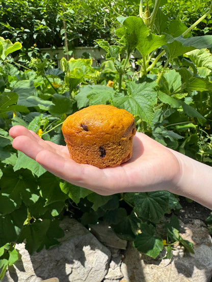 hidden veggie muffins